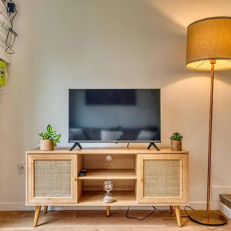 L'epicea - Rdj Duplex Proche Metrohopital * Oullins